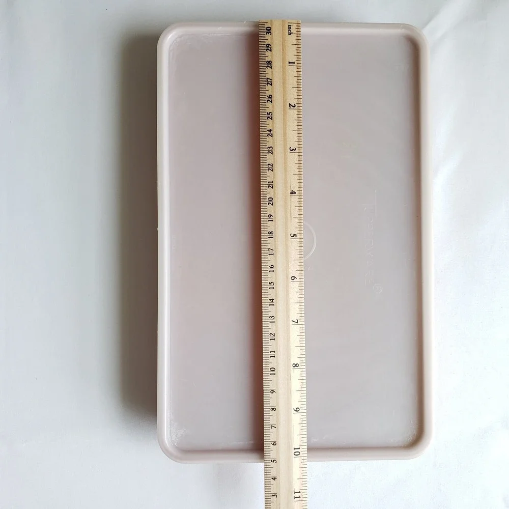 Tupperware Hot Dog Keeper 1292-2 with Lid Dark Orange Refrigerator Container Vtg